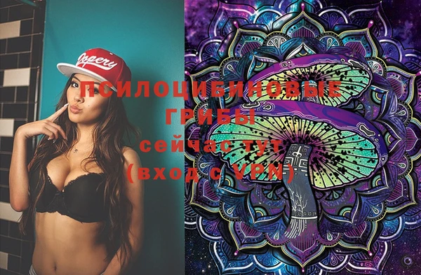 спиды Осинники
