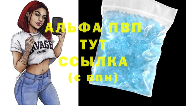 спиды Осинники