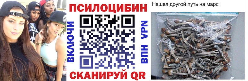 Галлюциногенные грибы GOLDEN TEACHER  дарнет шоп  Пикалёво 
